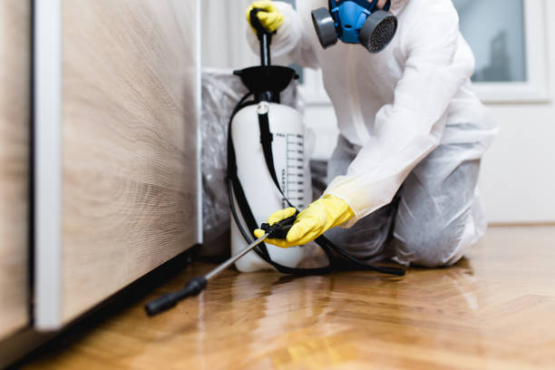 Best Pest Control Near Me in First Mesa, AZ