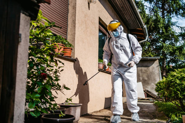 Best Insect Control  in First Mesa, AZ
