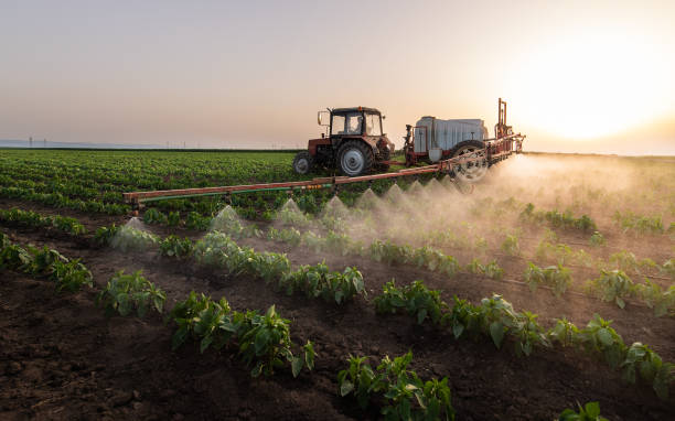 Best Pest Removal Services  in First Mesa, AZ
