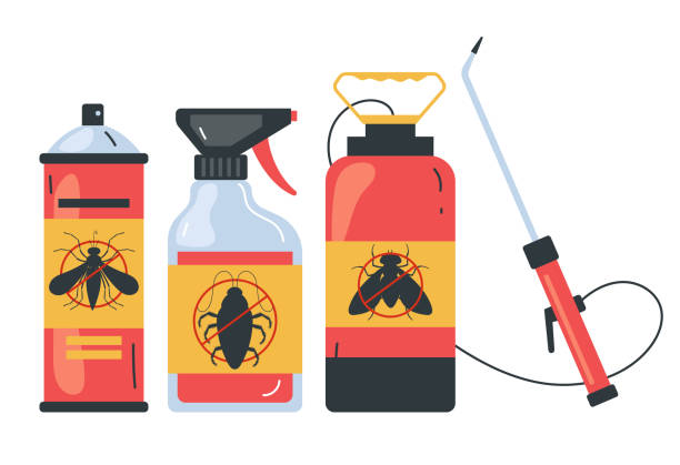 Reliable First Mesa, AZ Pest Control Solutions